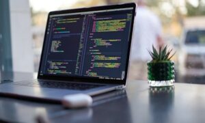 Custom web application development